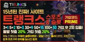 신규가입 2회 입플 트랭크스